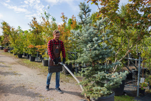 Mulching Services in Winthrop Harbor, IL